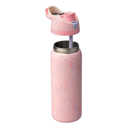 Sugar Plum Fairy FreeSip Owala Water Bottle