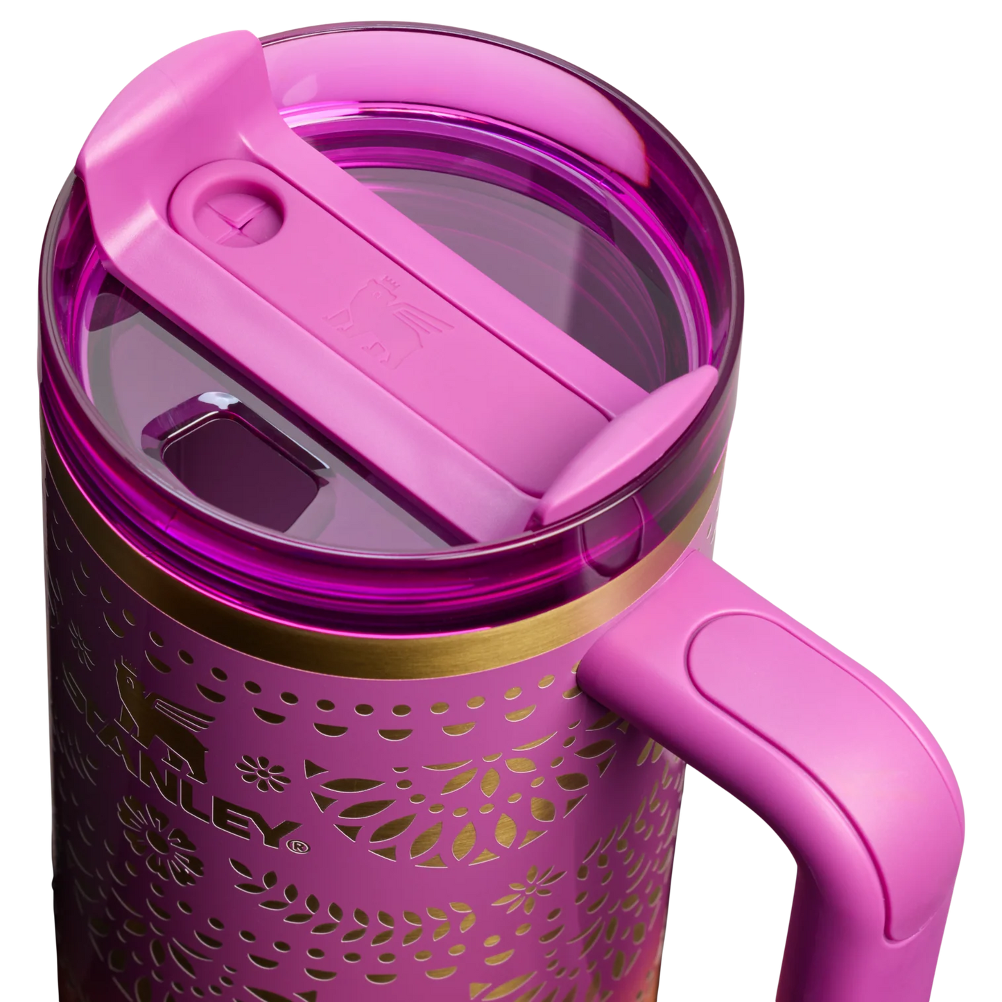 Día de Los Muertos Tumbler